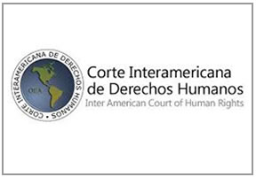 Observatorio de Intervención Ciudadana Constitucional participa en consulta ante la Corte Interamericana