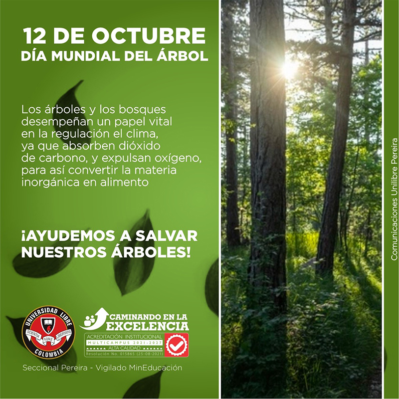 12 de octubre - Día Mundial del Árbol