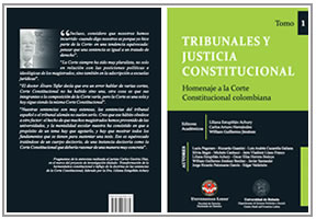  Tribunales y justicia constitucional