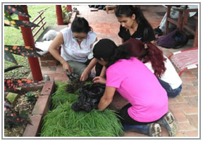 Aplicación de micorrizas en cafetales del municipio de Sasaima, Cundinamarca