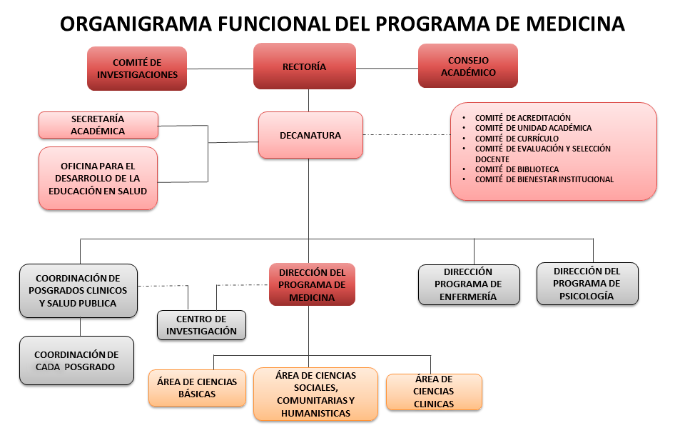 estructura-organizativa-medicina