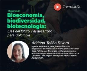 Transmisión: La biotecnología y la producción sostenible