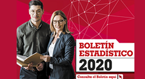Boletín Estadístico 2020