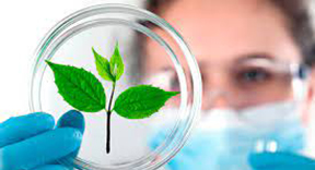 Biotecnología y Agroindustria