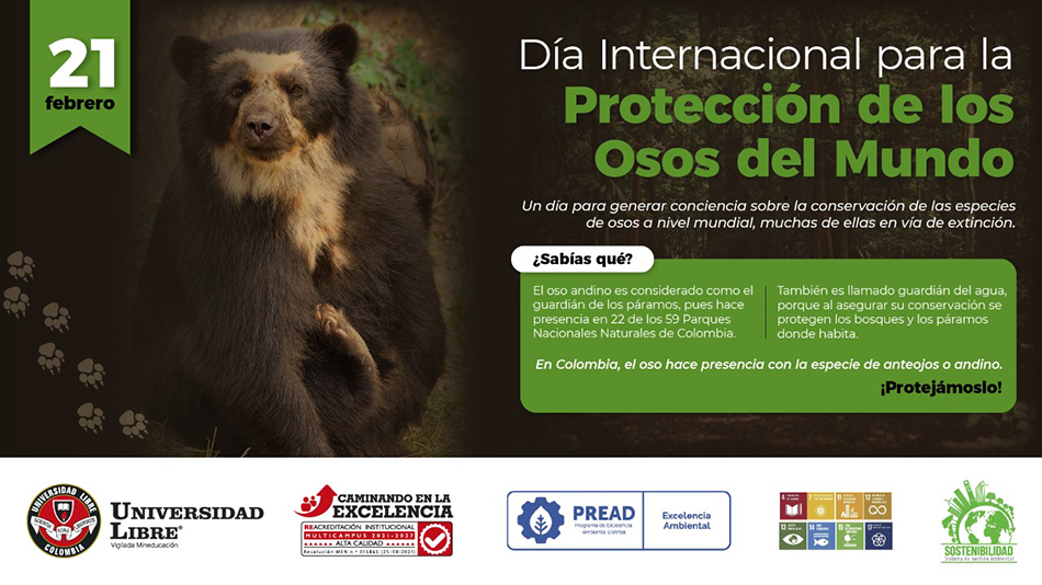 Día mundial del oso