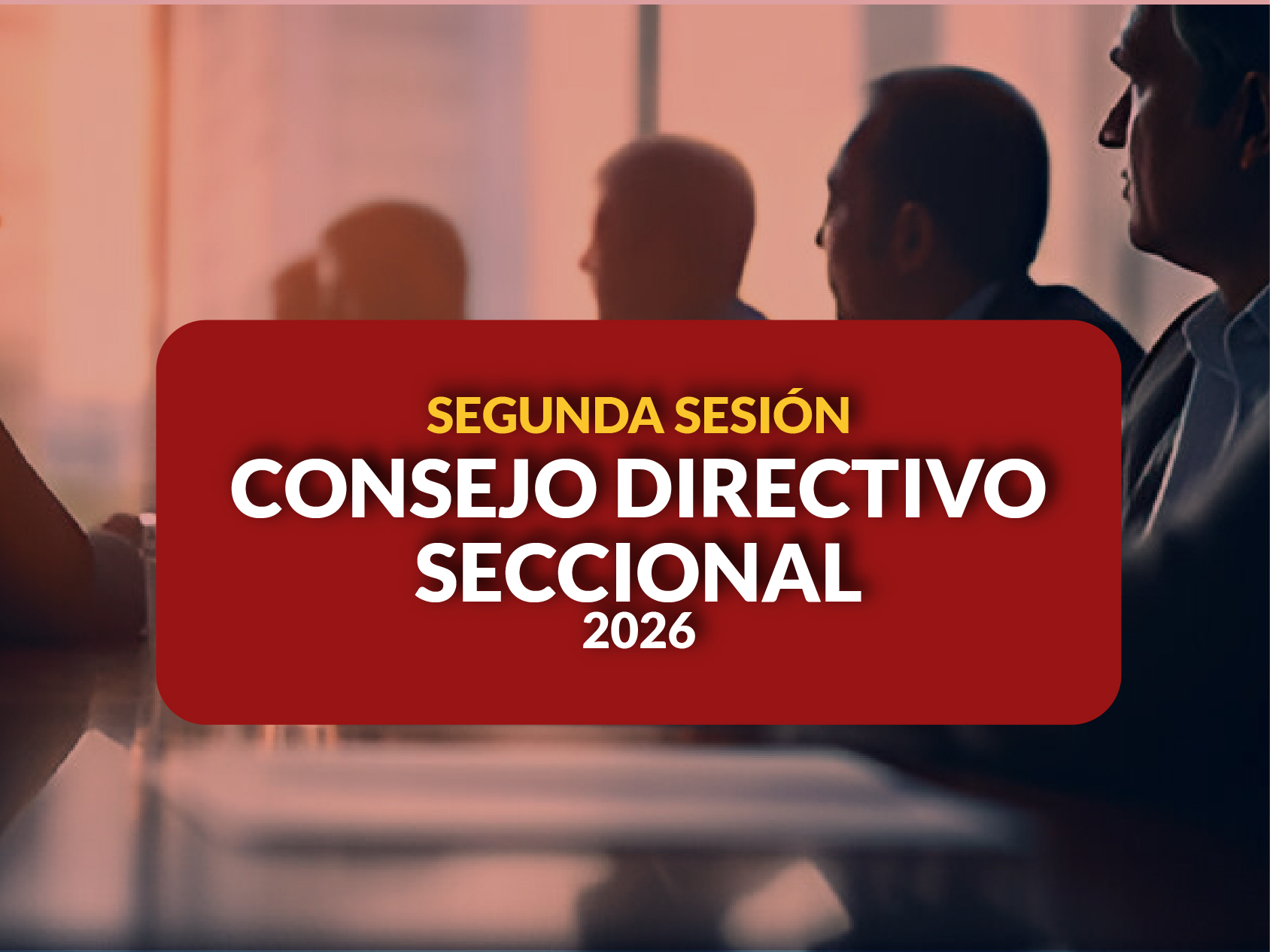 Texto: Segunda Sesión Consejo Directivo Seccional